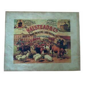1880s Halstead & Co. Beef Packers Vintage Advertising Print